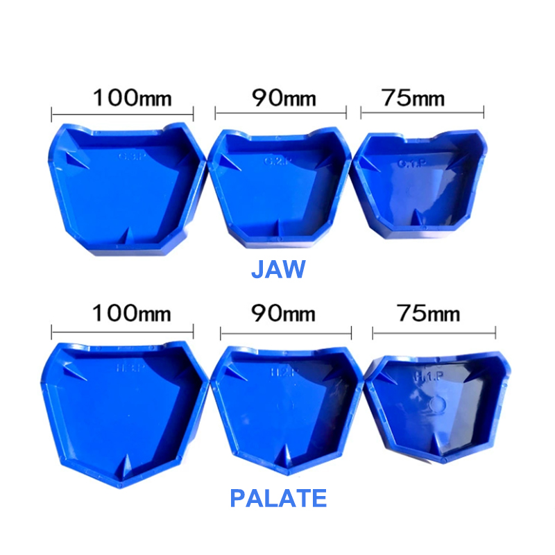 2/6Pcs Silicone  Dental Model  - Teeth Whitening Tray review and price