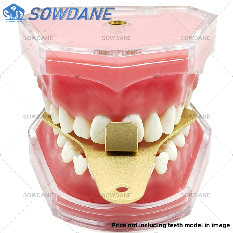 Dental Lab Impression Trays to - Teeth Whitening Tray review and price