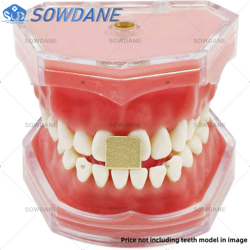 Dental Lab Impression Trays to - Teeth Whitening Tray review and price