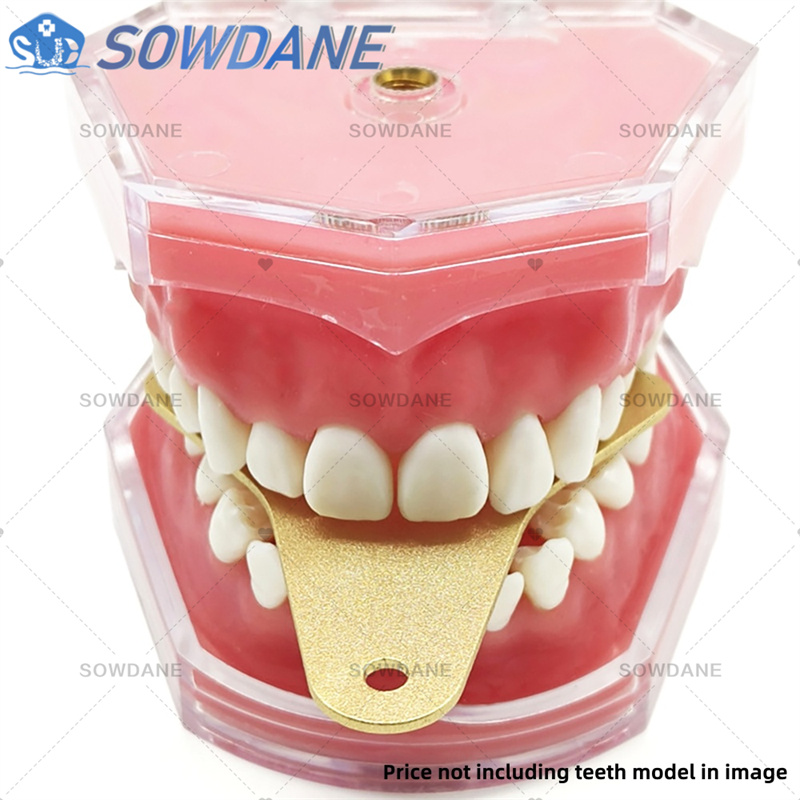 Dental Lab Impression Trays to - Teeth Whitening Tray review and price