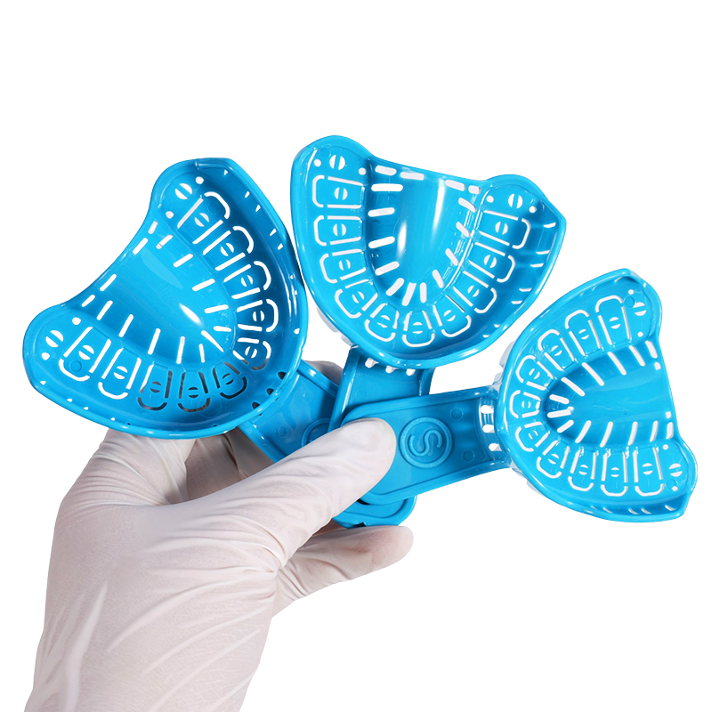 6Pcs Dental Implant Impression - Teeth Whitening Tray review and price